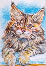 ACEO cat watercolor pencil by the author original 3,5