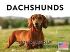 Dachshund Calendar 2025 Monthly Wall Calender 12 Month