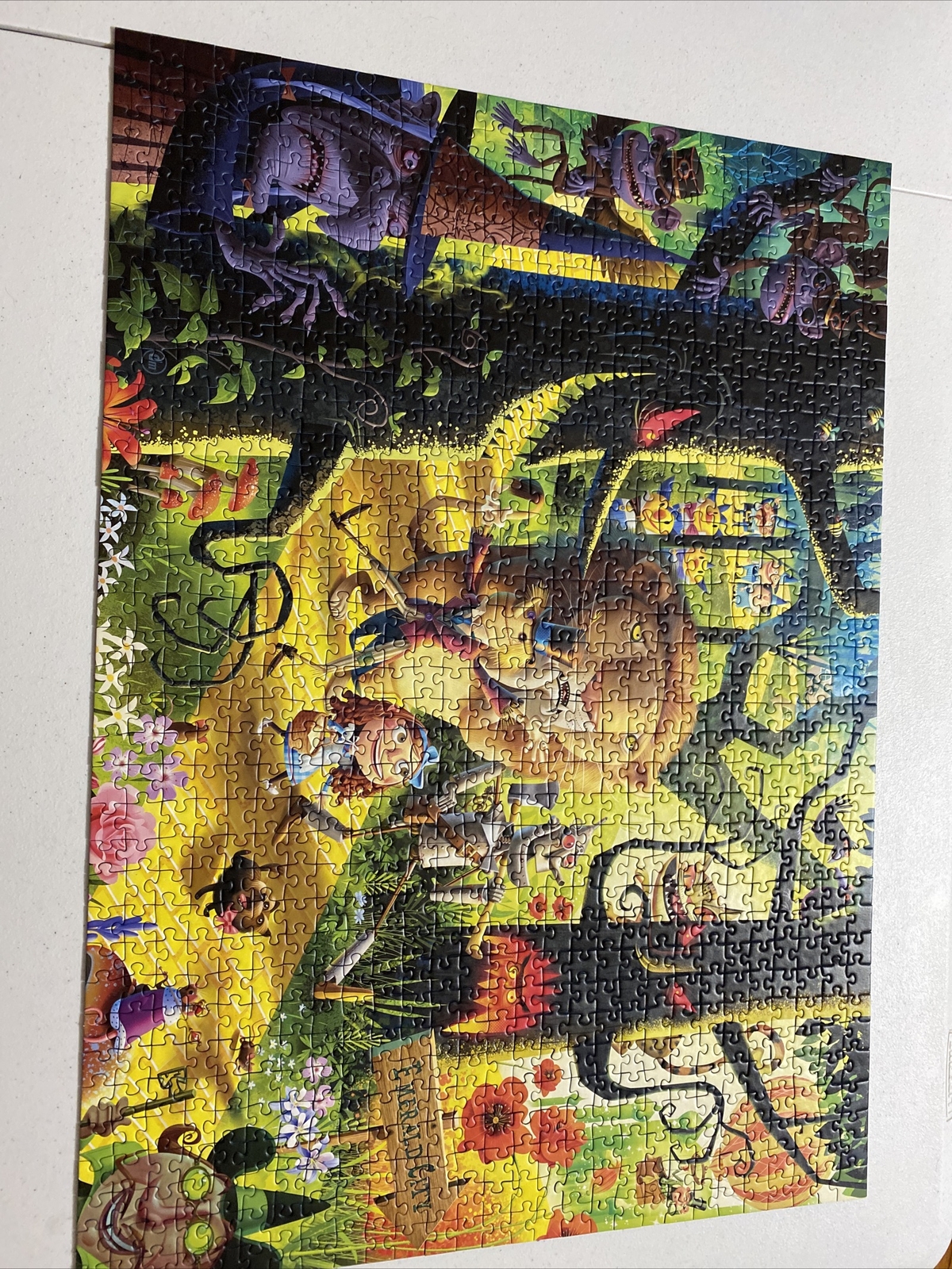 Picture 8 of 11