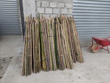 50 Canne di Bamboo per sostegno 75-100-150-200-250-300 cm - Bambù - tutori canna