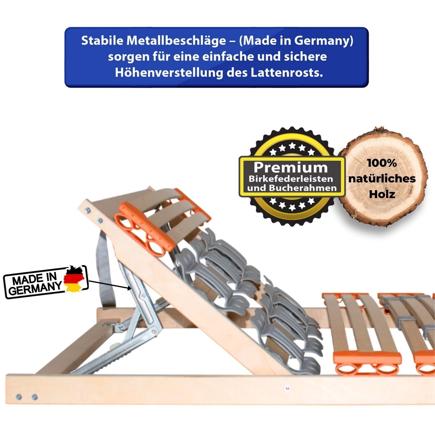 Bild 12 von 15