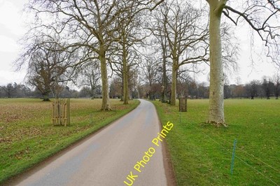 Photo A3 Drive in Blenheim Park Woodstock/SP4416 This route exits the p c2022