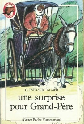 Eine Überraschung für Opa - C. Everard Palmer - V482529