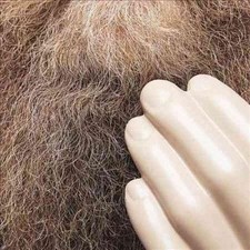 Touch & Flee - Cowley,Neil CD-JEWEL CASE