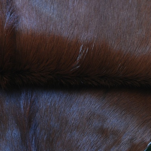 Premium Dark Brown Goat Hide Rug – Natural Hair-On Leather, Stylish & Versatile - Picture 8 of 10