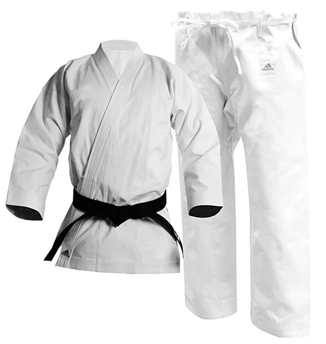 Adidas usa karate earrings online