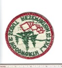 Foto 2 di 2