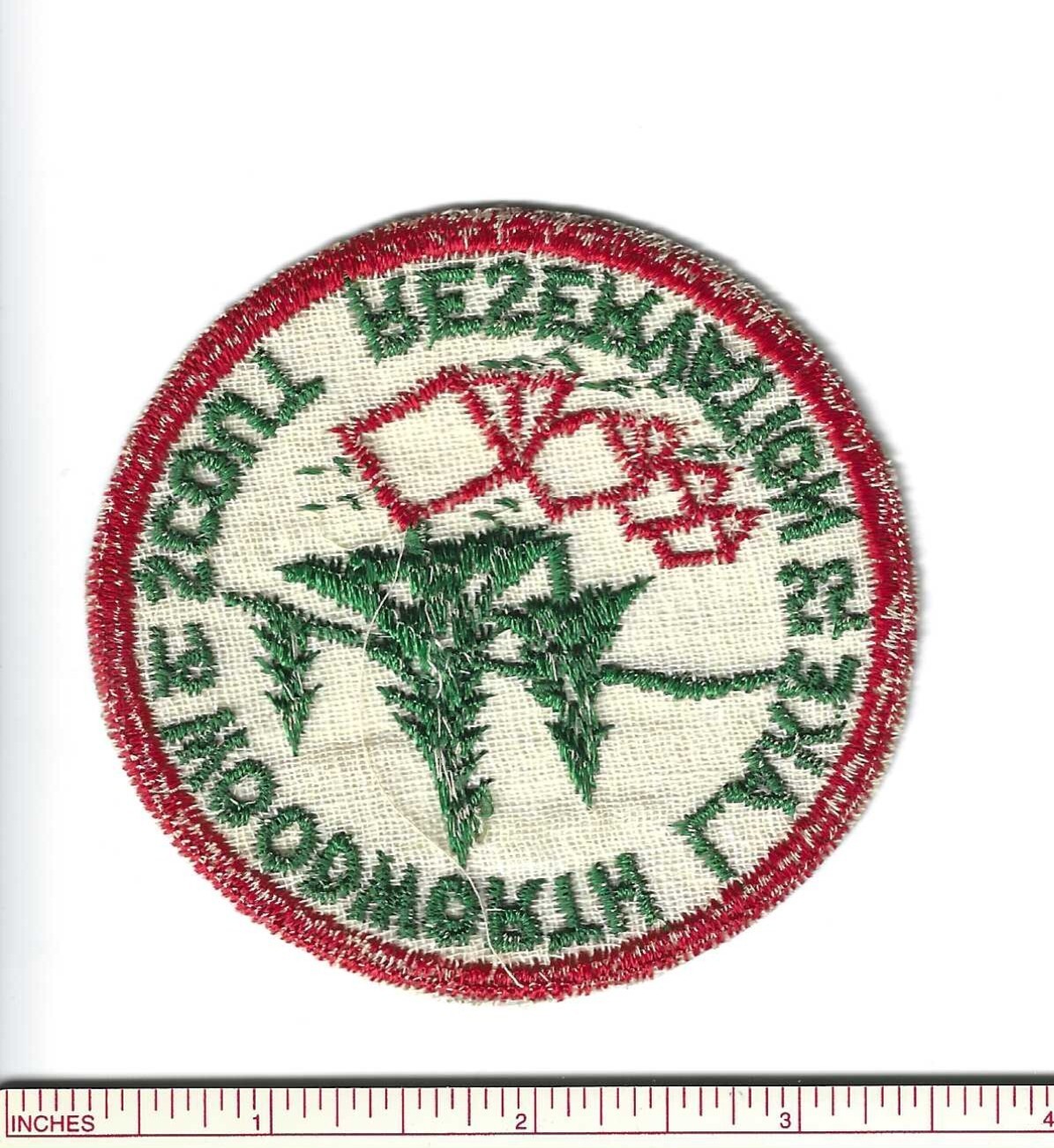 Foto 2 di 2