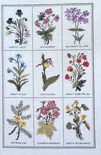 Wildflower Sampler Bell Pull Helena Halverson Cross Stitch Pattern Raspberry