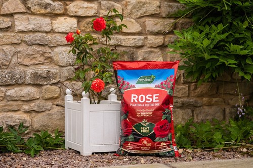 GARDEN COMPOST SOIL MULTI-PURPOSE ORGANIC PEAT FREE MIRACLE GROW LEVINGTON NEW - Picture 318 of 418