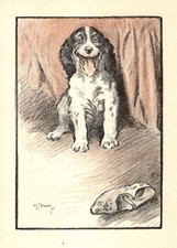Sweet Vintage Spaniel Print 1930s G L Stampa Spaniel Art Illustration 6350a