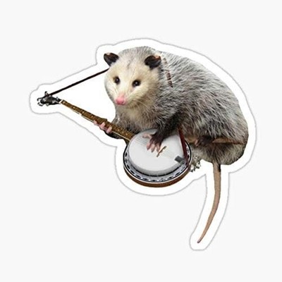 5'' Possum Playing Banjo Vinyl Bumper Sticker