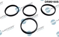 Dr.Motor Automotive Dichtungssatz AnsaugkrüMmer FüR VW Golf VI 5K1 1.6 1J1