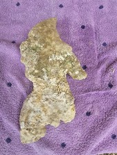 Riffgestein für Aquarien,