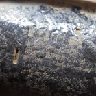 Picture 7 of 7