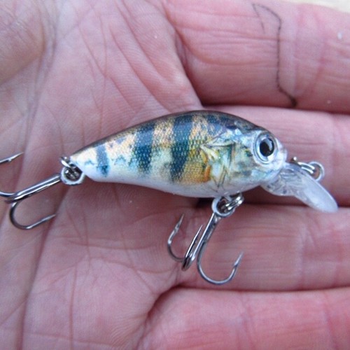 Perch Fishing Lures x 4 Realscale Mini Countdown Savage Trout Chub Bait Gear 5 g - Picture 2 of 16