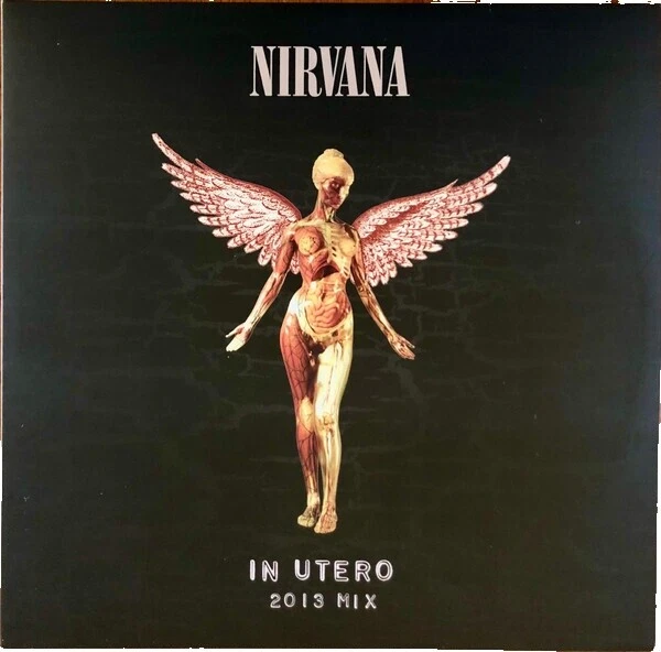 Discos de vinilo de rock grunge nirvana