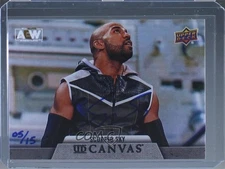 2022 AEW All Elite Wrestling 2020 Buyback Autos Canvas /15 Scorpio Sky Auto
