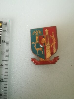 PIN badge judetul stem municipality pyesti ROMANIA Tirgoviste