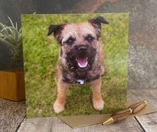 Terrier Dog greeting card -  Border Terier dog card