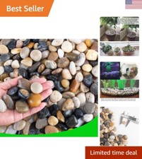 Pebbles for Plants 3 lb Natural Garden Decorative Stone Outdoor Aquariums Gra...