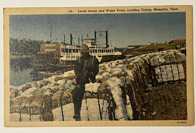 Memphis Tennessee Levee Scene Waterfront Cotton Worker Postcard c1930