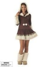 GIRL'S TWEEN POLAR PRINCESS COSTUME