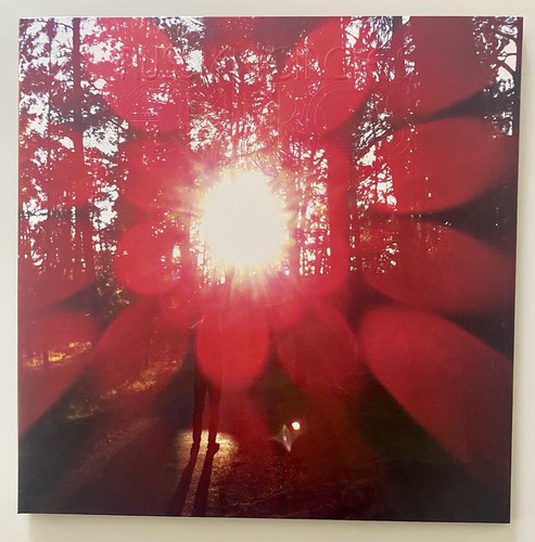 RUSSIAN CIRCLES Empros Ltd Edition Clear, Silver, Red Splatter Vinyl LP New MINT - Picture 4 of 8