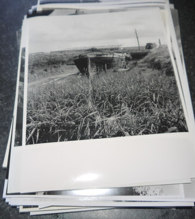 100x Stunning Professional Photographs 10" x 8".Mainly Rural.Some Duplication