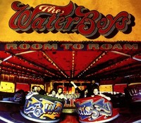 Room To Roam (Collector's Edition) | The Waterboys | Englisch | Audio-Cd | CD