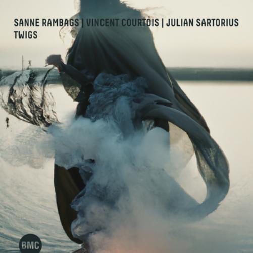 Sanne Rambags, Vincent Courtois & Julian Sartorius Twigs (CD) Album