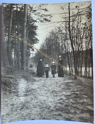orig. Foto Berlin Grunewald Park 1901 Familie Kinder