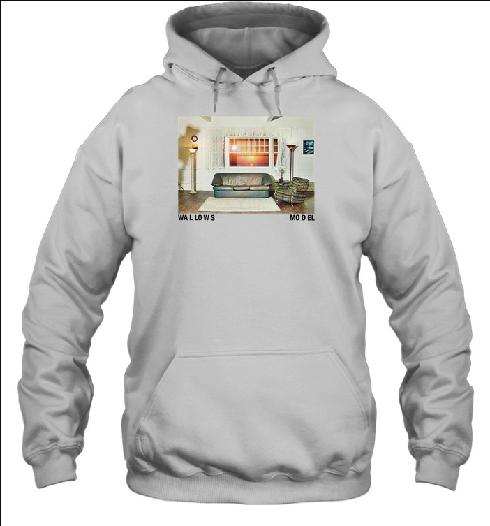 Wallows Model Album 2024 Hoodie, gift for fans