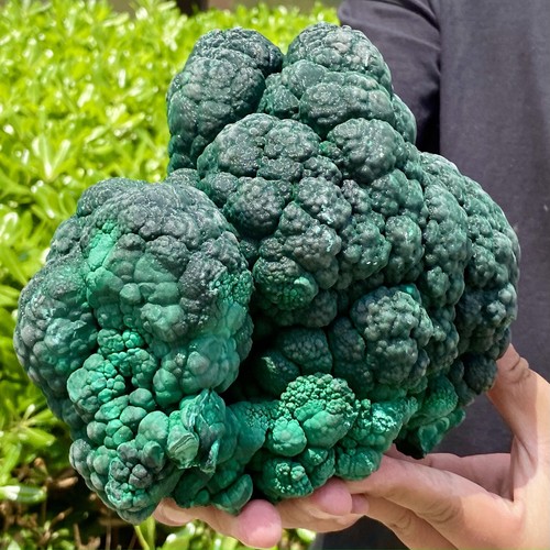 10.89LB Natural Glossy Malachite Coarse Cat's Eye Cluster Rough Mineral Specimen - 第 8/12 張圖片
