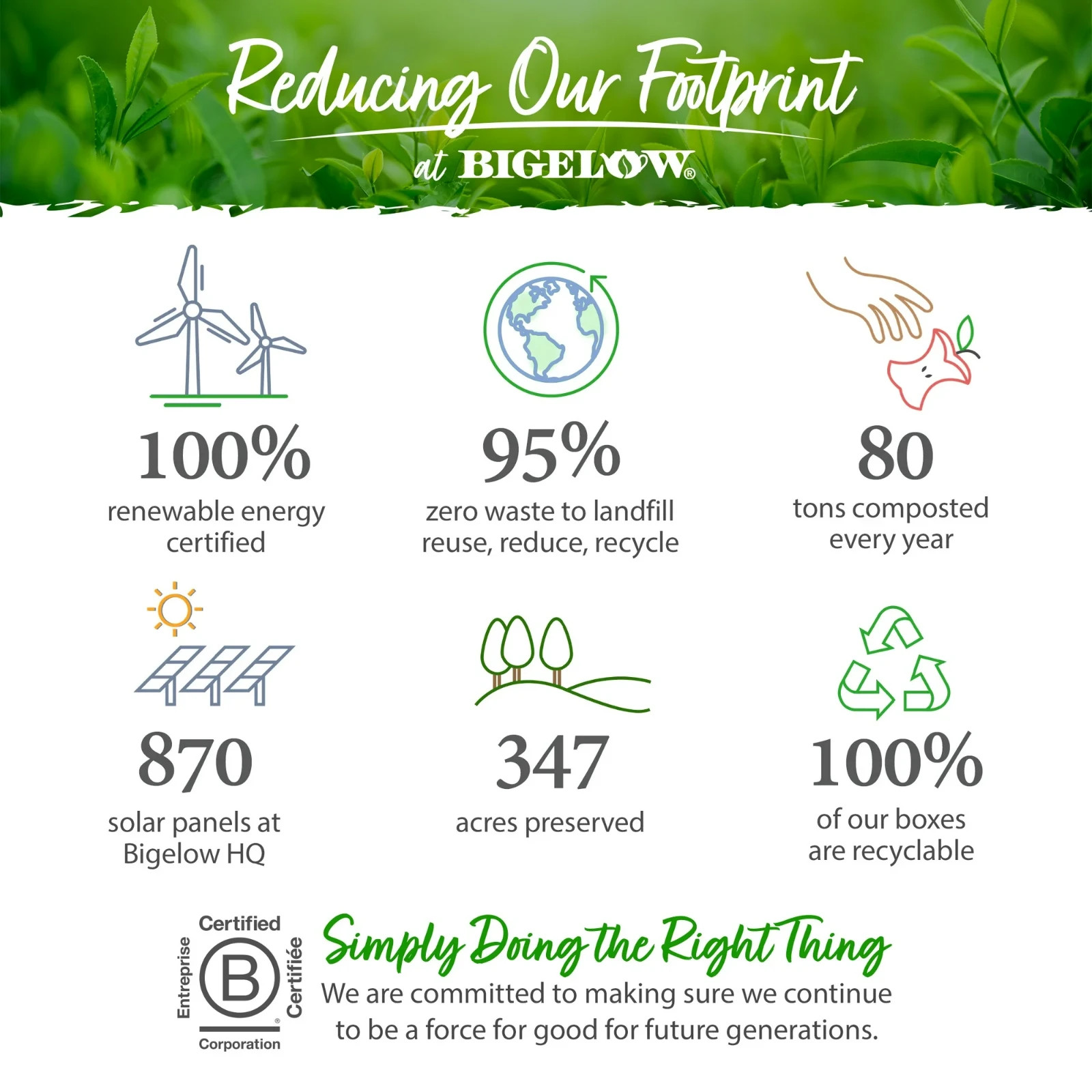 Bigelow Green Tea, Keurig K-Cup Tee Pods, 12 Count...