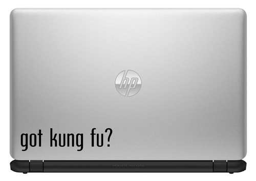 Got Kung Fu? Custom Vinyl Sticker Decal Martial Arts Karate MMA - Picture 3 of 3