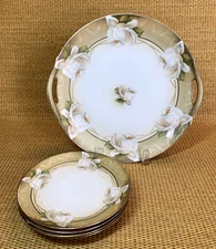 RS Germany 10.5" Handled Cake Plate Set 5pc Hand Painted Roses Flowers