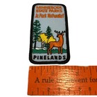 Minnesota State Park Jr Park Naturalist Pinelands patch — photo 4