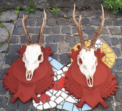 2er Set Rehgehörne Trophäenbrett Geschnitzt Jagdtrophäe Deko Roe Deer Antlers