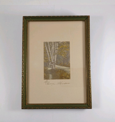 Antique 1922 David Davidson ''Six Chums'' Birches Hand Colored Photo Print