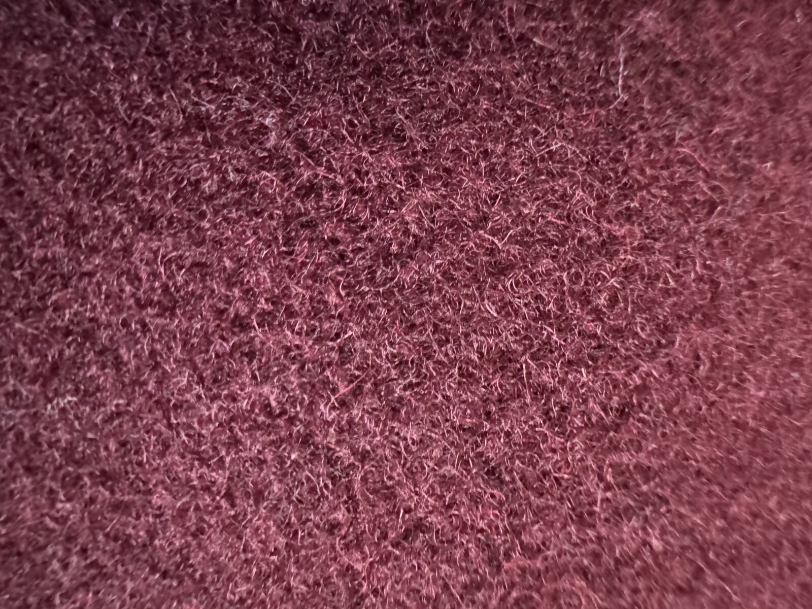 Picture 10 of 12