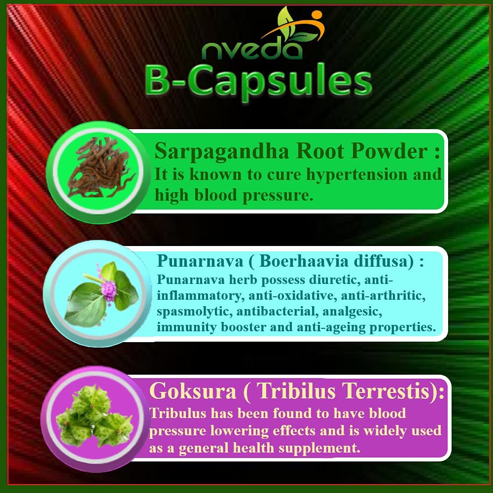 5xNveda BP Control for Blood pressure (60 capsules) Ayurvedic