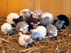 Bild 2 von 7