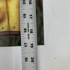 Bild 11 von 13