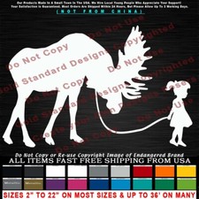 - Moose Girl Walking Moose Hunting Wildlife Car Truck Sticker Vinyl Decal