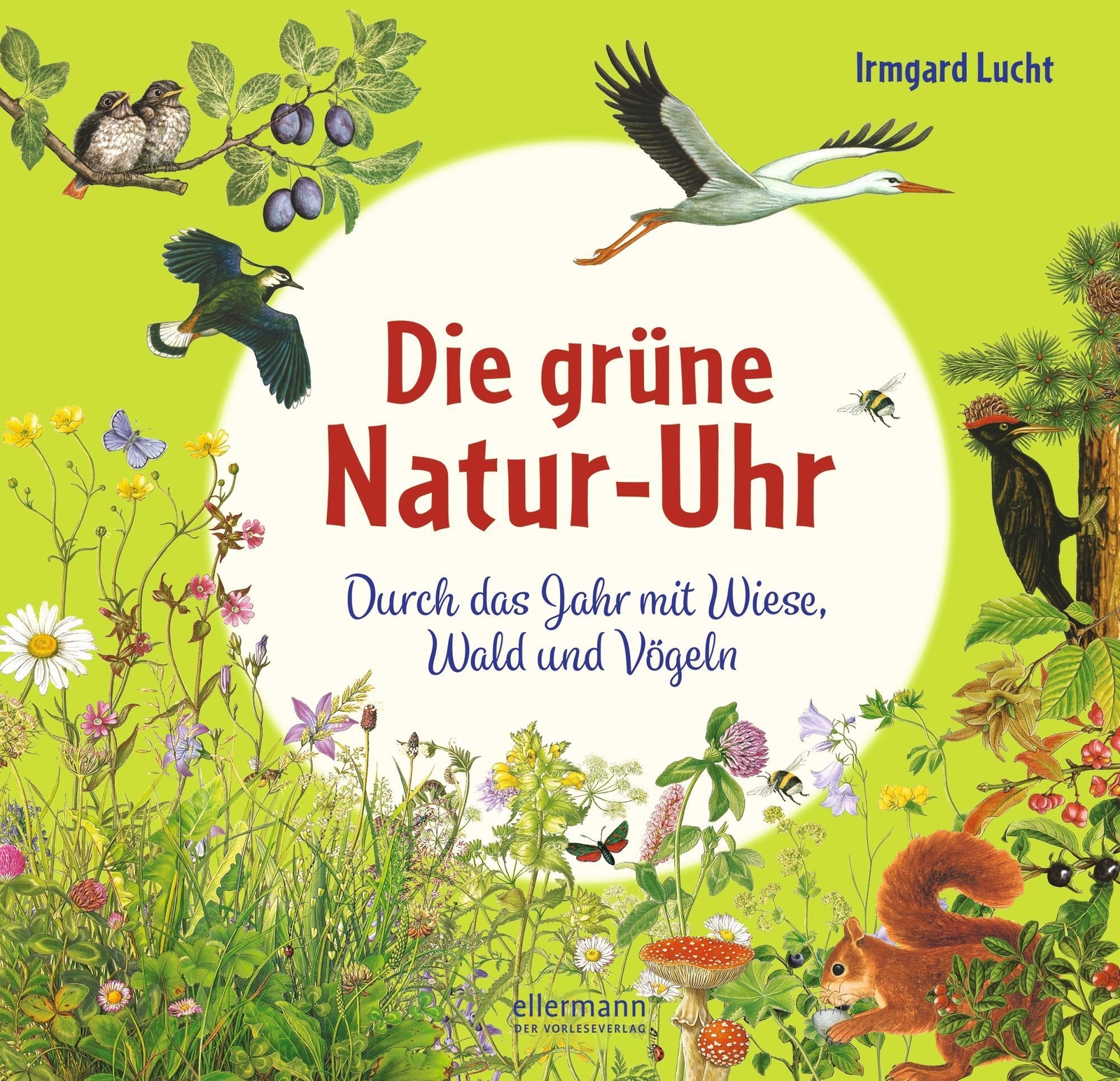 Thumbnail - Die Grüne Natur-uhr | Irmgard Lucht | Durch Das Jahr Mit Wiese, Wald