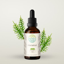 HerbEra Horsetail Alcohol-FREE Tincture Organic Horsetail Equisetum arvense 