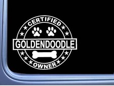 Certified Goldendoodle L311 Dog Sticker 6 Decal