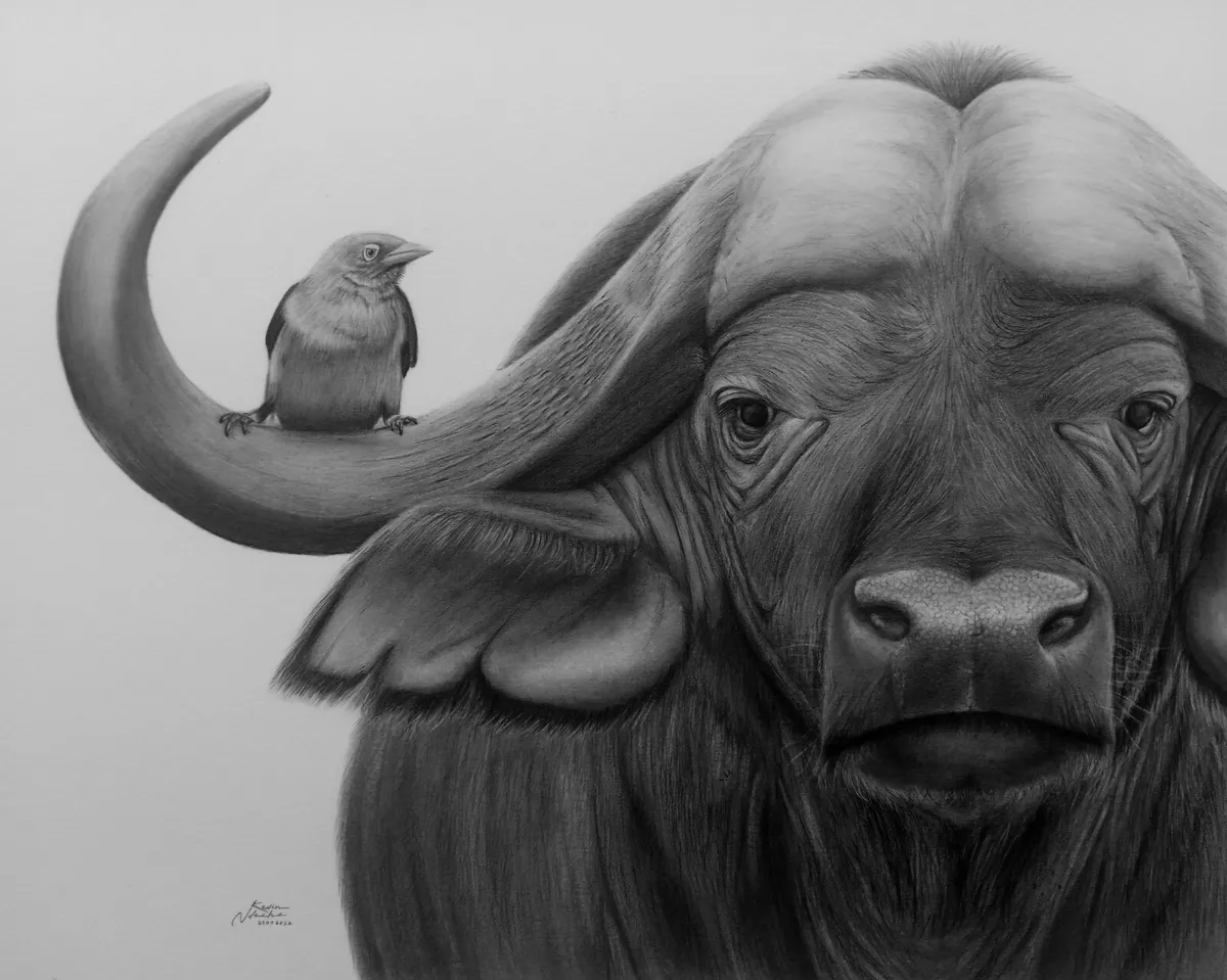 Charcoal drawing deals