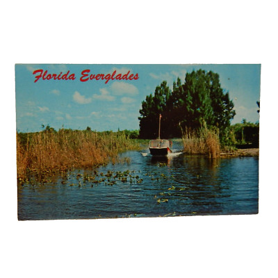 AIRBOAT RIDE FLORIDA EVERGLADES
